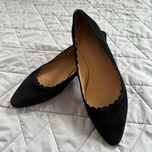 Talbots Edison Black Suede Scalloped Flats